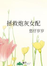 拯救炮灰女配