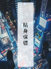 贴身保镖第一季在线观看全集