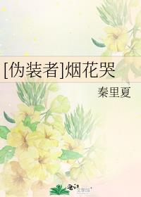 [伪装者]烟花哭