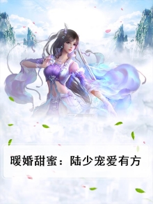 暖婚甜蜜：陆少宠爱有方