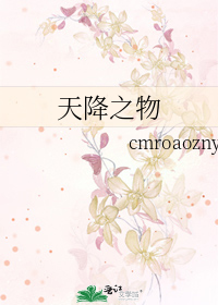 天降之物