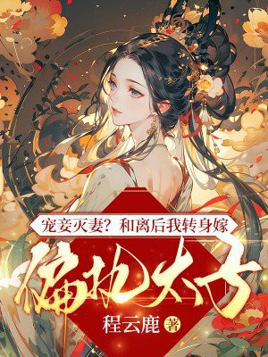 宠妾灭妻?和离后我转身嫁偏执太子
