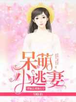 邪魅总裁偷心计:呆萌小逃妻