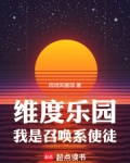 维度乐园,我是召唤系使徒无防盗