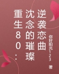女主沈念的重生小说