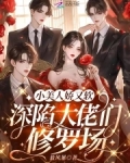 小美人她又娇又纨绔晋江文学城