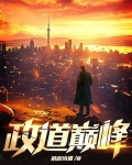 政途巅峰作者万路之遥