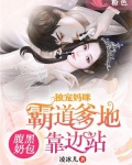 腹黑奶包:独宠妈咪爹地靠边站! 凌冰儿