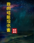 我的技能没伤害(熬夜游侠)