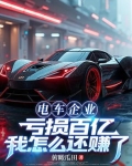 电动汽车利润如何