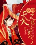 报告，夫人又退婚了