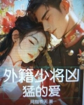 外国少将军衔