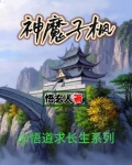 子枫的小说