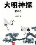 大明神探1546首发