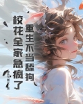 重生不当舔狗的小说
