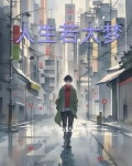 人生若大梦海中一主txt