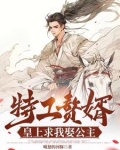 《特工皇妃:皇上我要废了你》