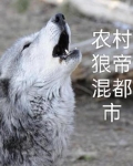 农村小子混都市