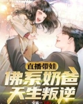 佛系带娃日常穿书 小说