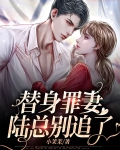 替身罪妻,陆总别追了