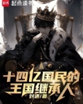 十四亿国民的王国继承人作者:刘遇