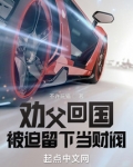 劝父回国,被迫留下当财阀