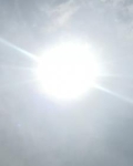 谢家又添新成员