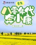 重生八零年代奔小康