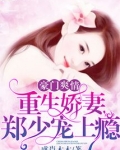 郑少的重生小说