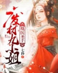 凰医圣手:废材九小姐