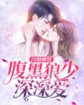闪婚腹黑老公