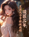 京城顶级太子爷小说