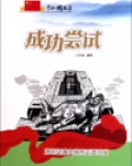 成功尝试:深圳证券交易所正式开业