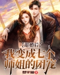 退婚后七个哥哥为我