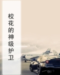 校花的终极护卫 txt