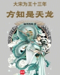 大宋为王十三年,方知是天龙阅读