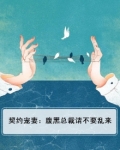 腹黑总裁的契约恋人