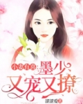 小妻有喜：墨少又宠又撩