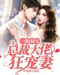 一胎双宝:总裁大佬狂宠妻