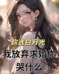 你选白月光,我放弃求婚你哭什么小说