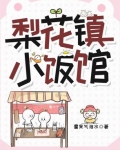 梨花镇小饭馆全文免费阅读