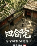 四合院掠夺词条皇朝遗孤