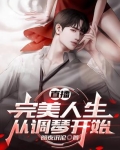 直播：完美人生从调琴开始