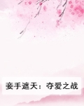 妾手遮天：夺爱之战