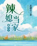 重生之辣媳当家