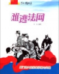 难逃法网:厦门特大走私案侦破与处理