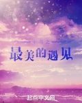 半岛之最美的遇见
