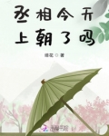 丞相今天上朝了吗
