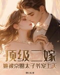 顶级秘宠,二爷的心尖前妻 小说
