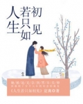 人生若只如初见的文案